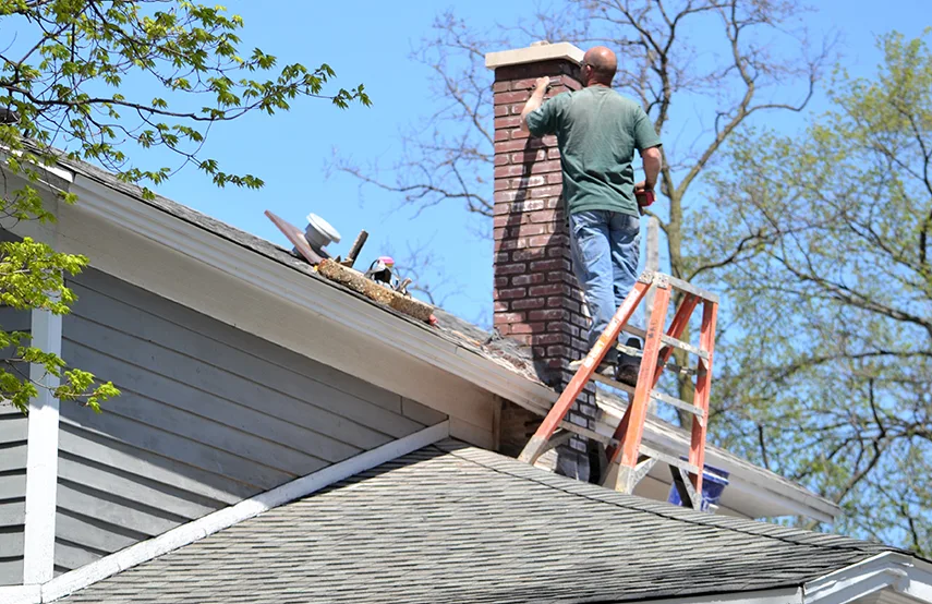 Chimney & Fireplace Inspections Services in Opelika, AL